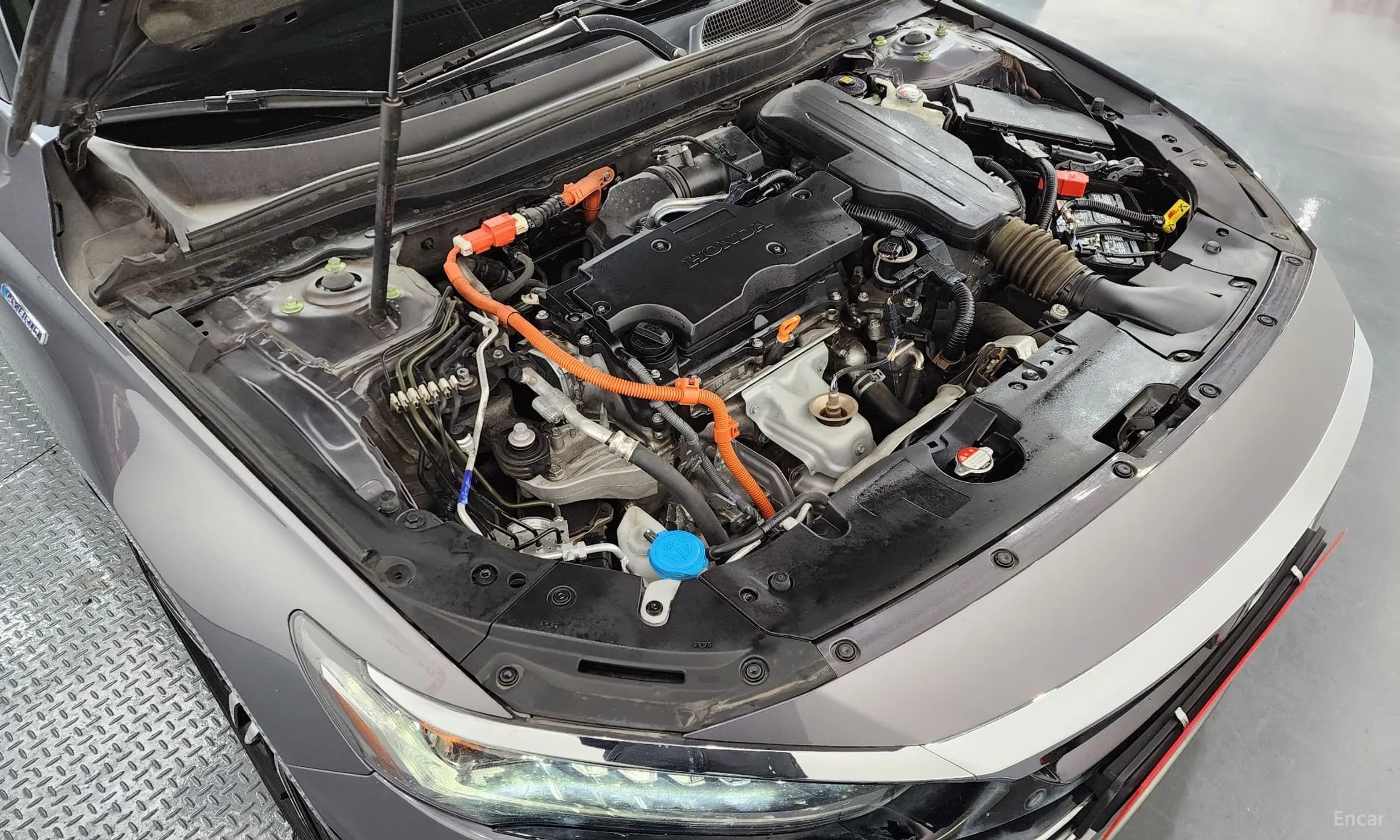 Accord 10th Generation