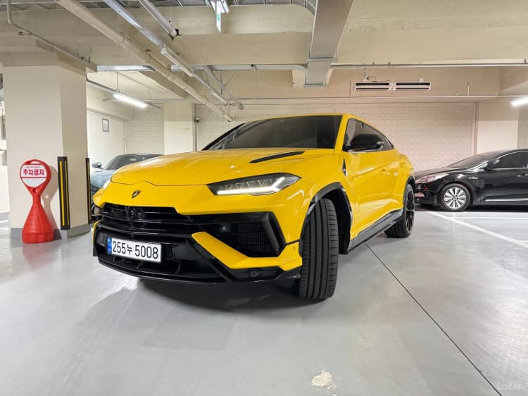 Urus