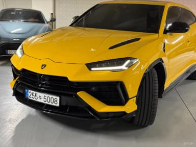 Urus