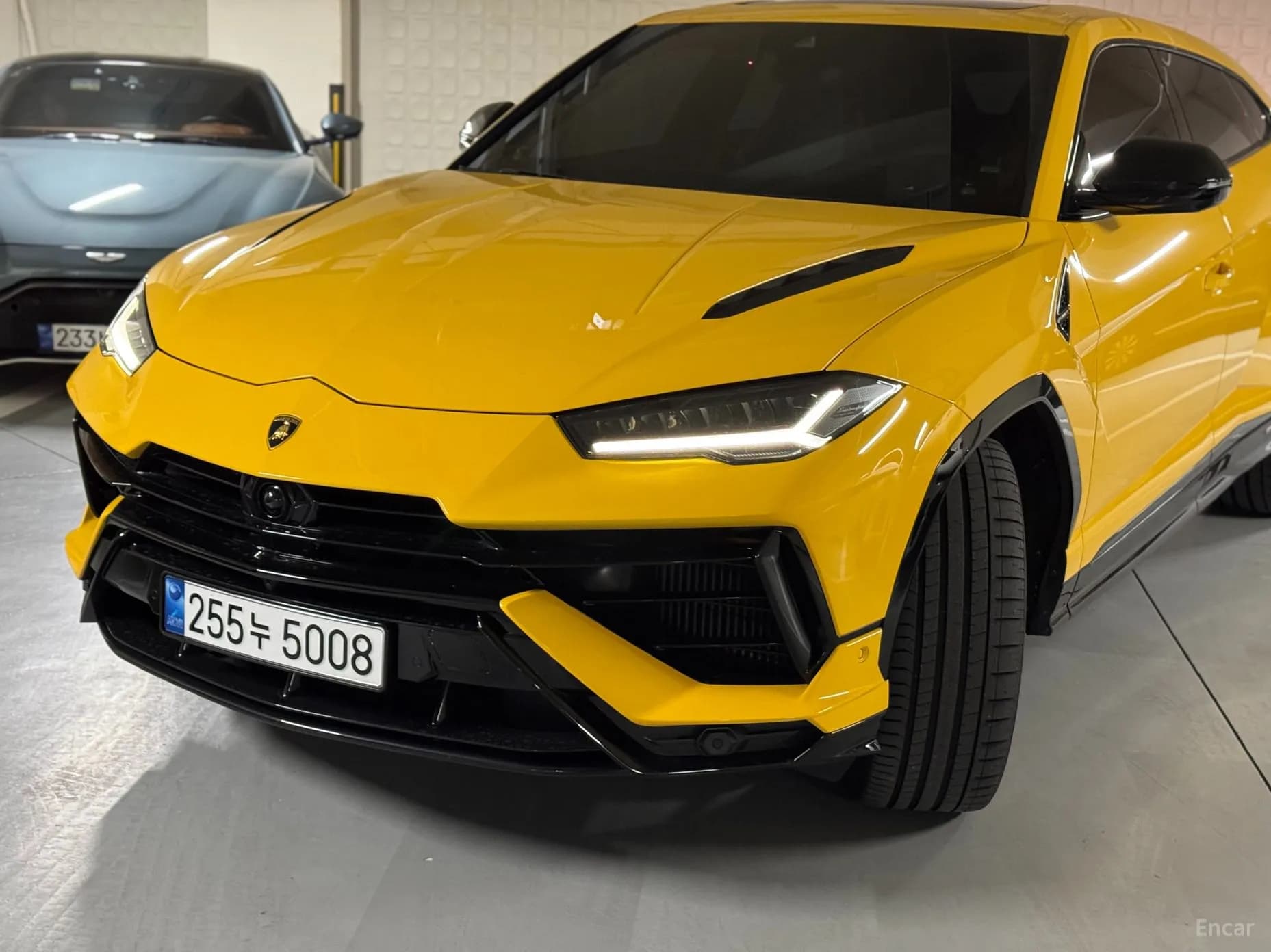 Urus