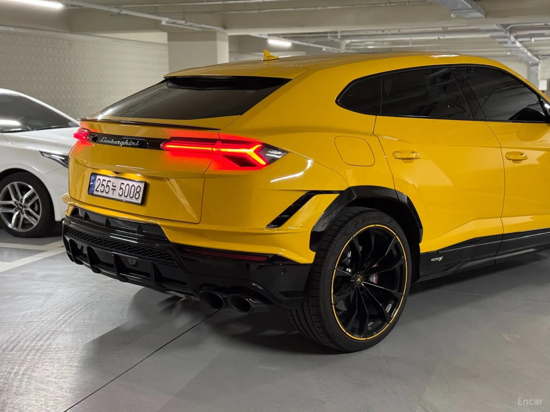 Urus