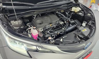 Siena 4th generation