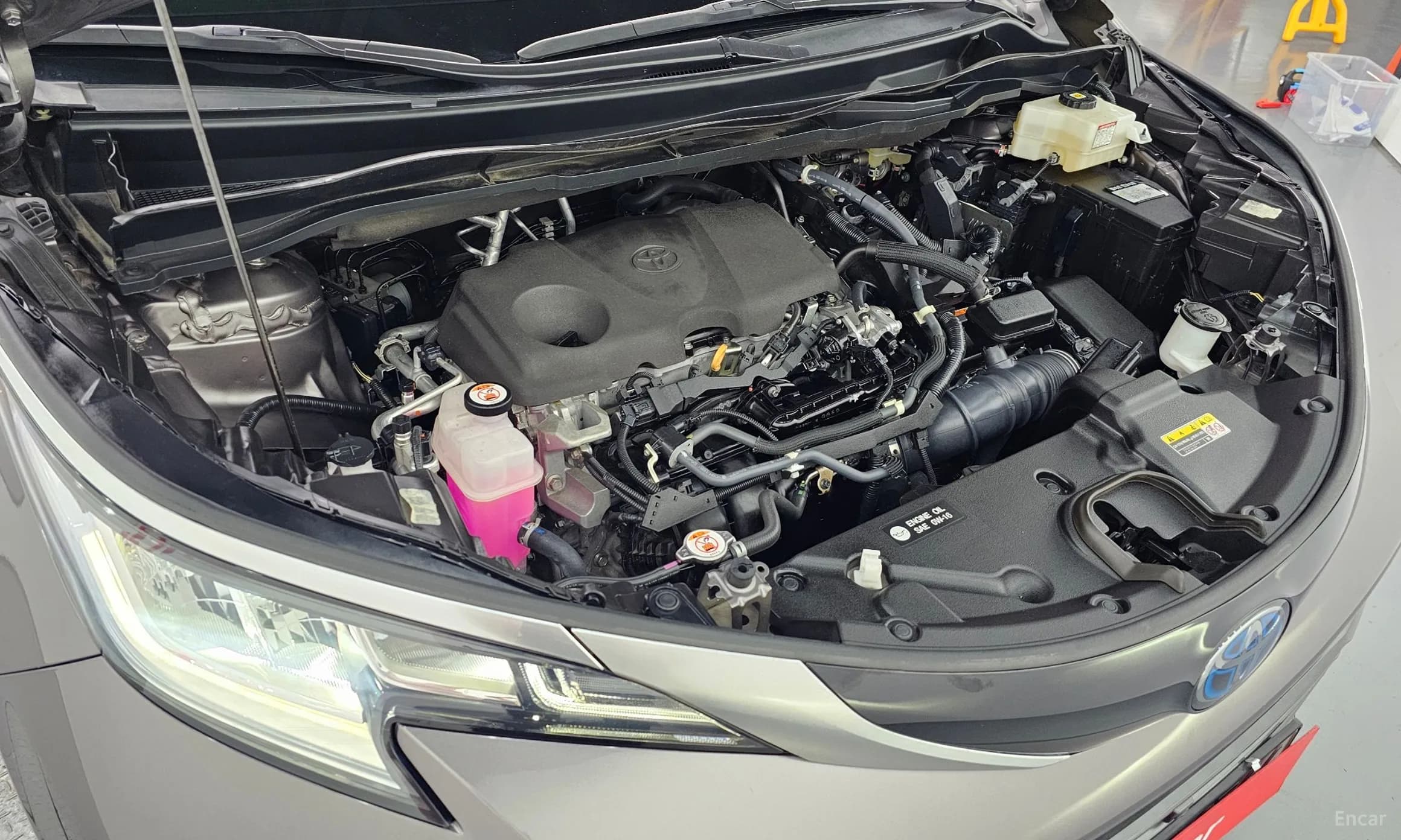 Siena 4th generation