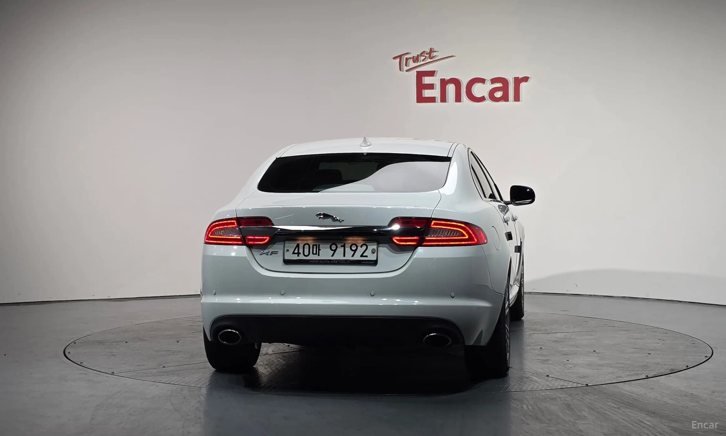 New XF