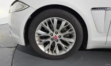 New XF