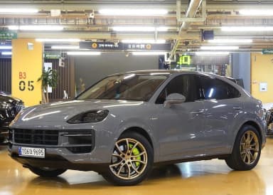 Cayenne (PO536)