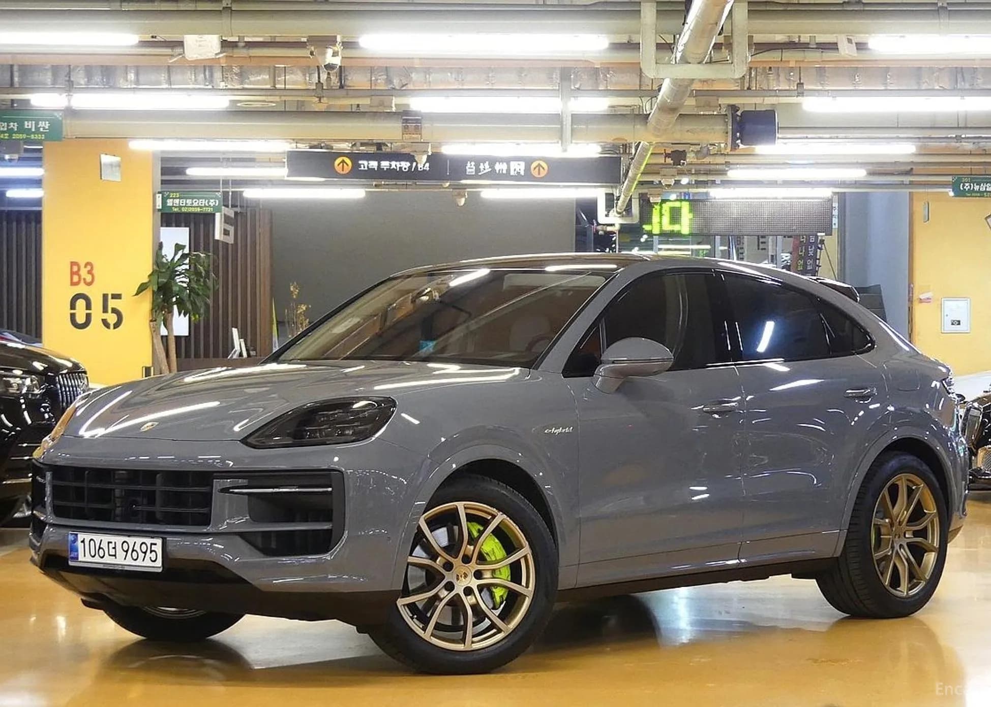 Cayenne (PO536)