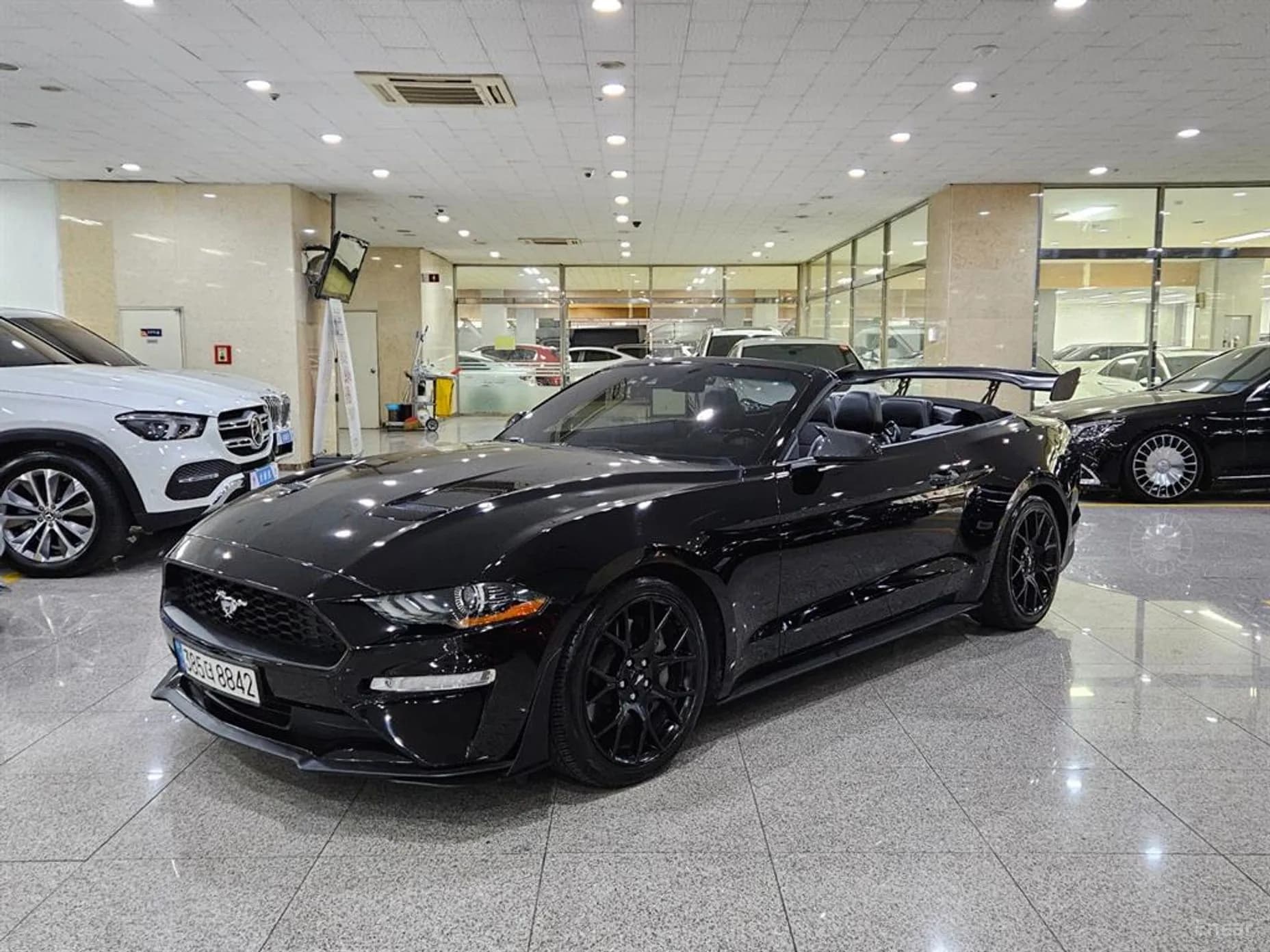 Mustang