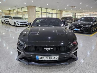 Mustang