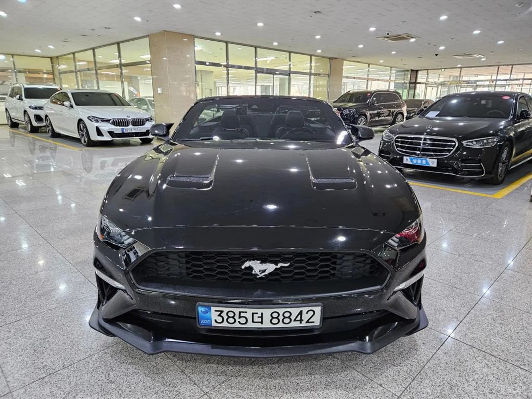 Mustang