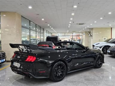 Mustang