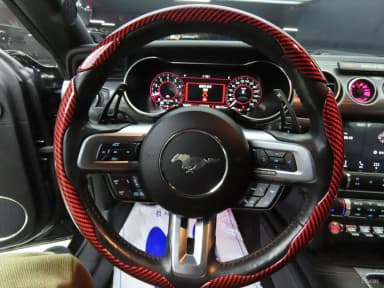 Mustang