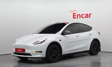 Model Y