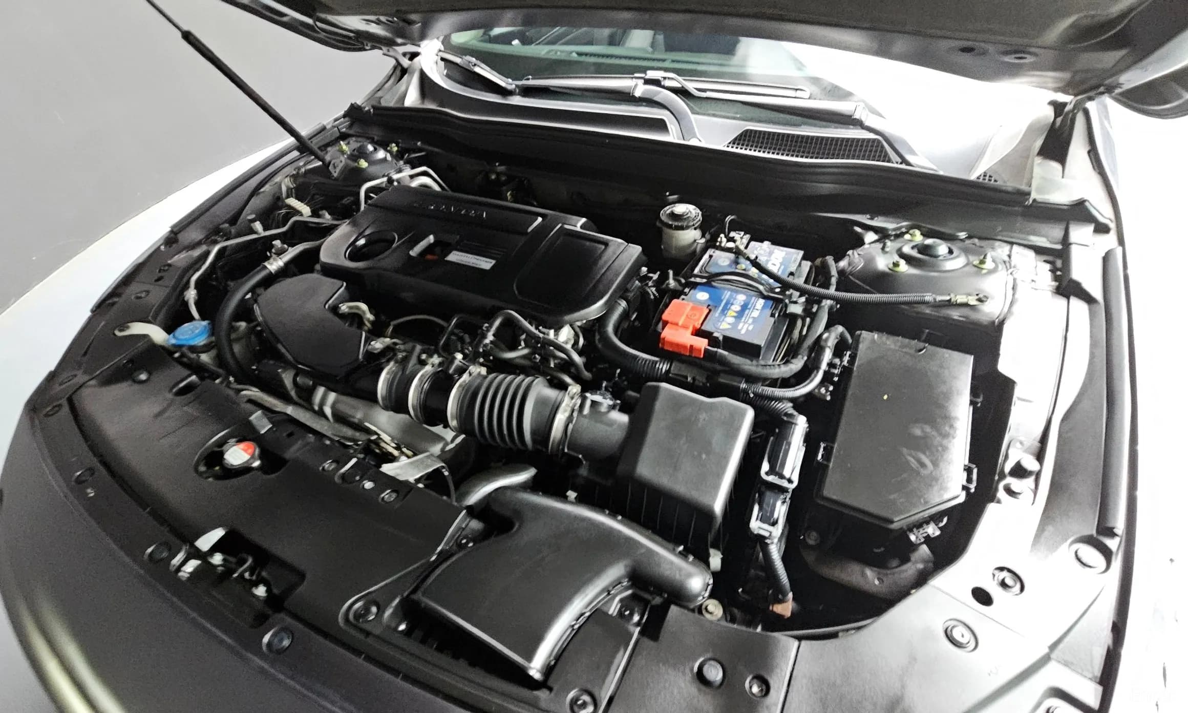 Accord 10th Generation