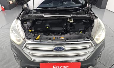 Cougar 2nd Generation