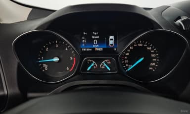 Cougar 2nd Generation