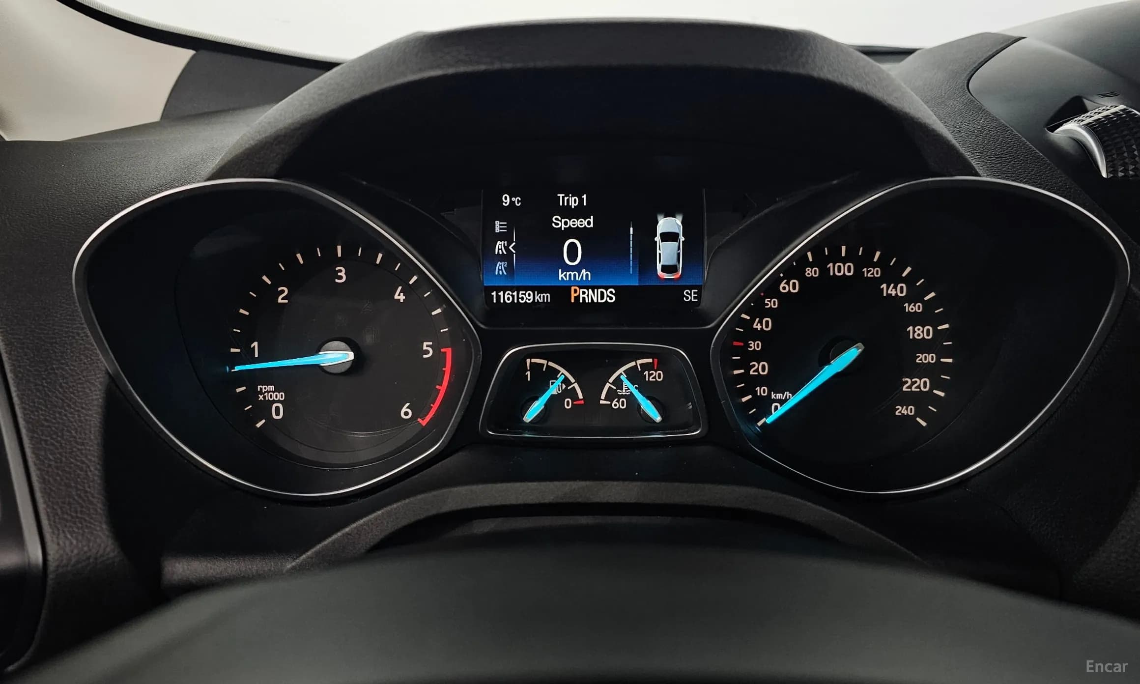 Cougar 2nd Generation