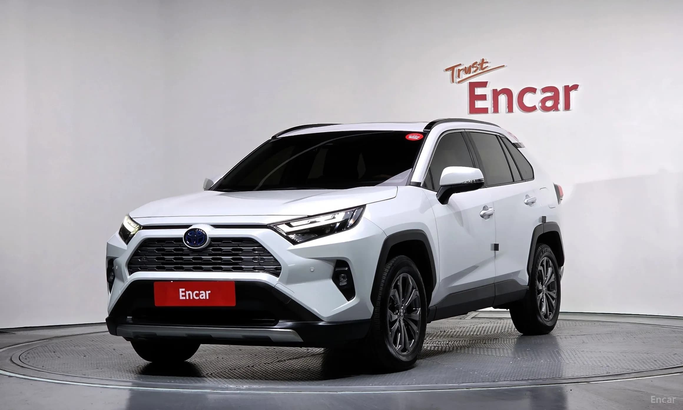 RAV4 5th Generation