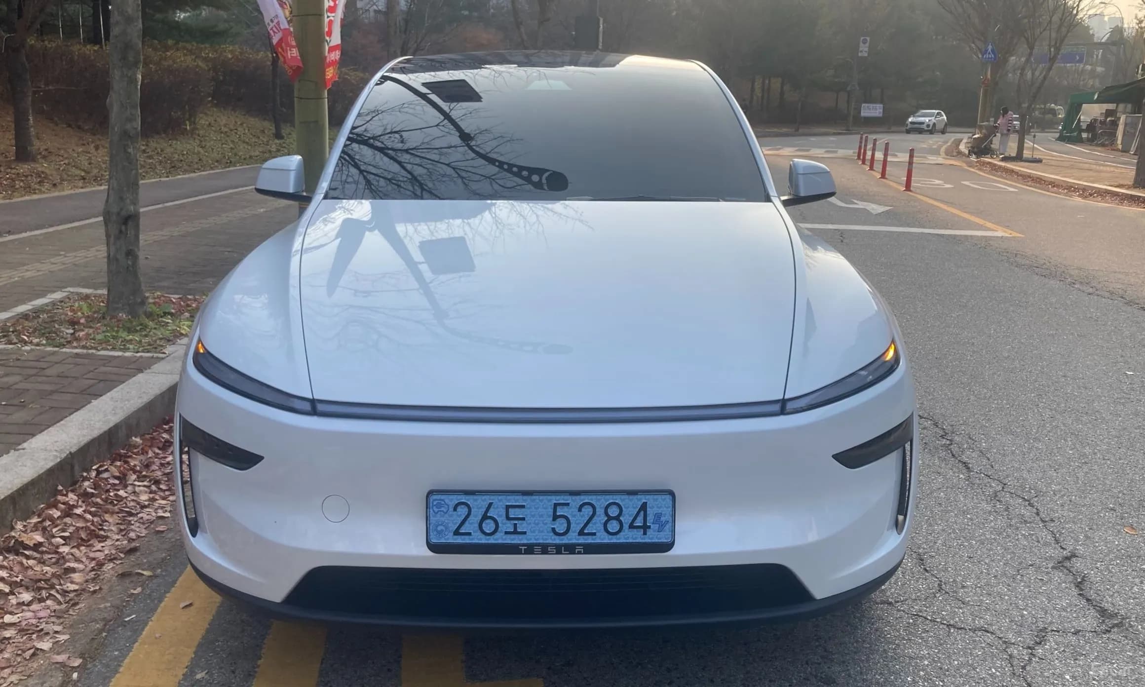 Model Y