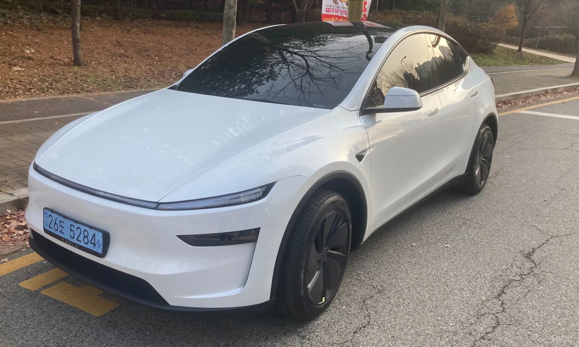 Model Y