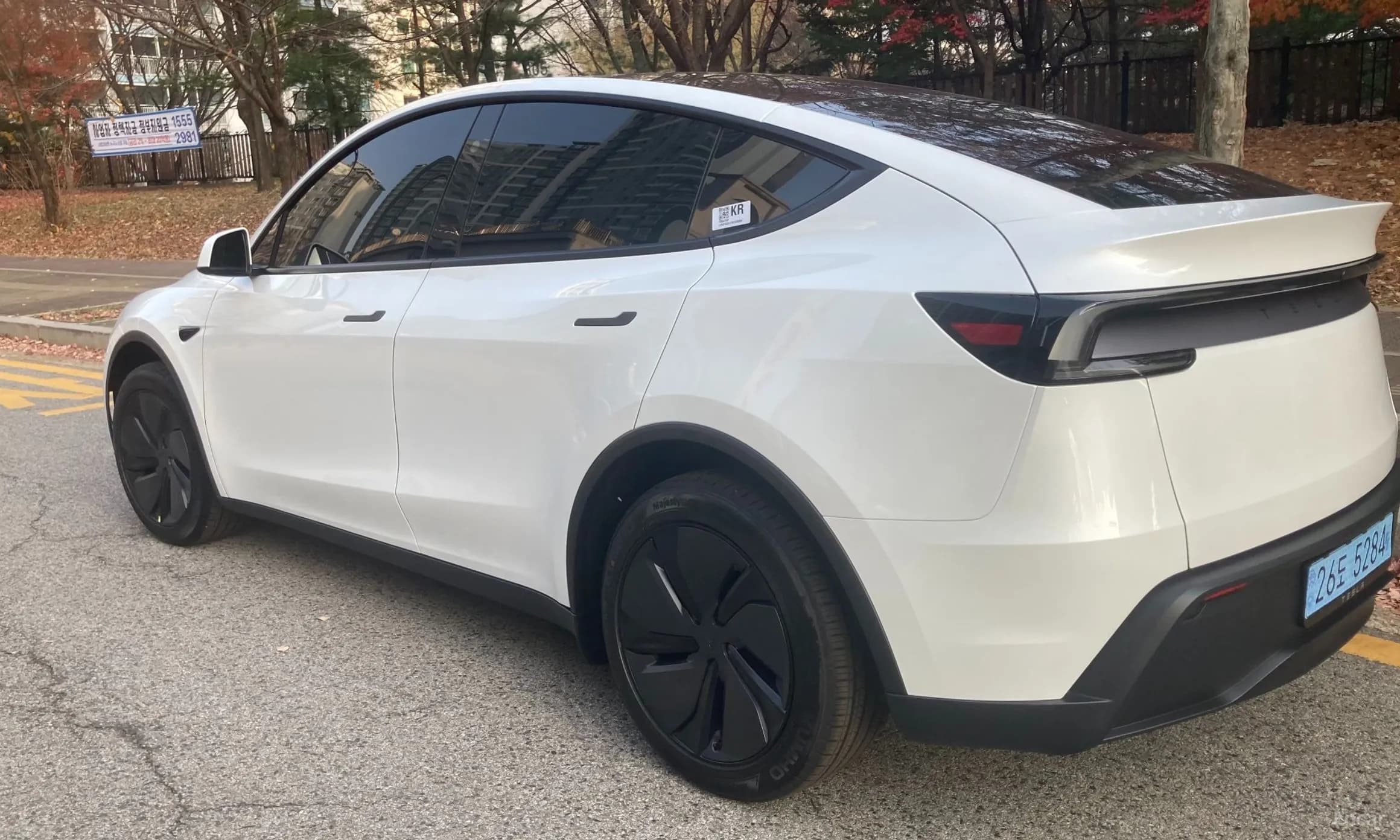 Model Y
