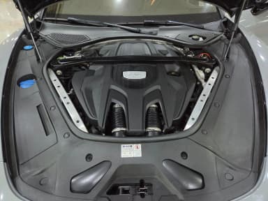 Panamera (971)