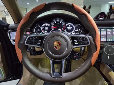 Panamera (971)