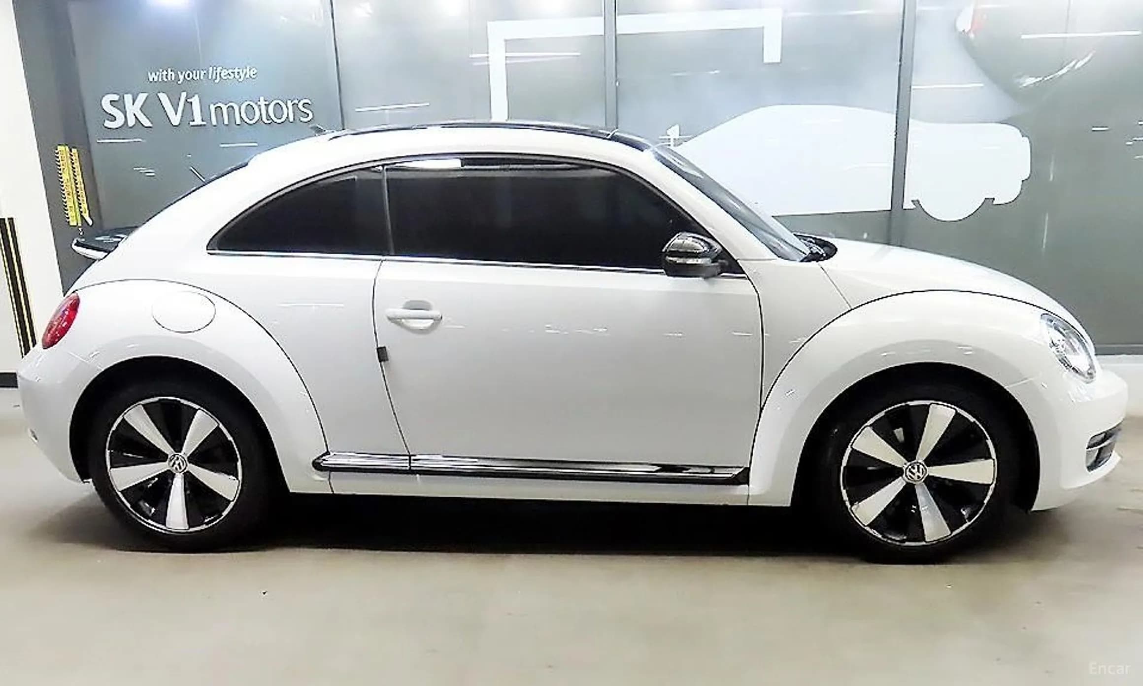 The Beetle