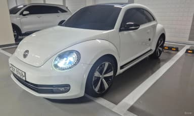 The Beetle
