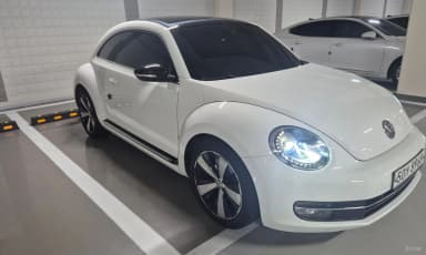 The Beetle