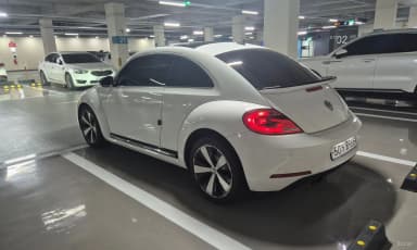 The Beetle