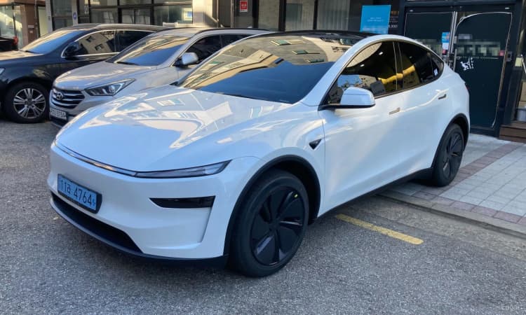 Model Y