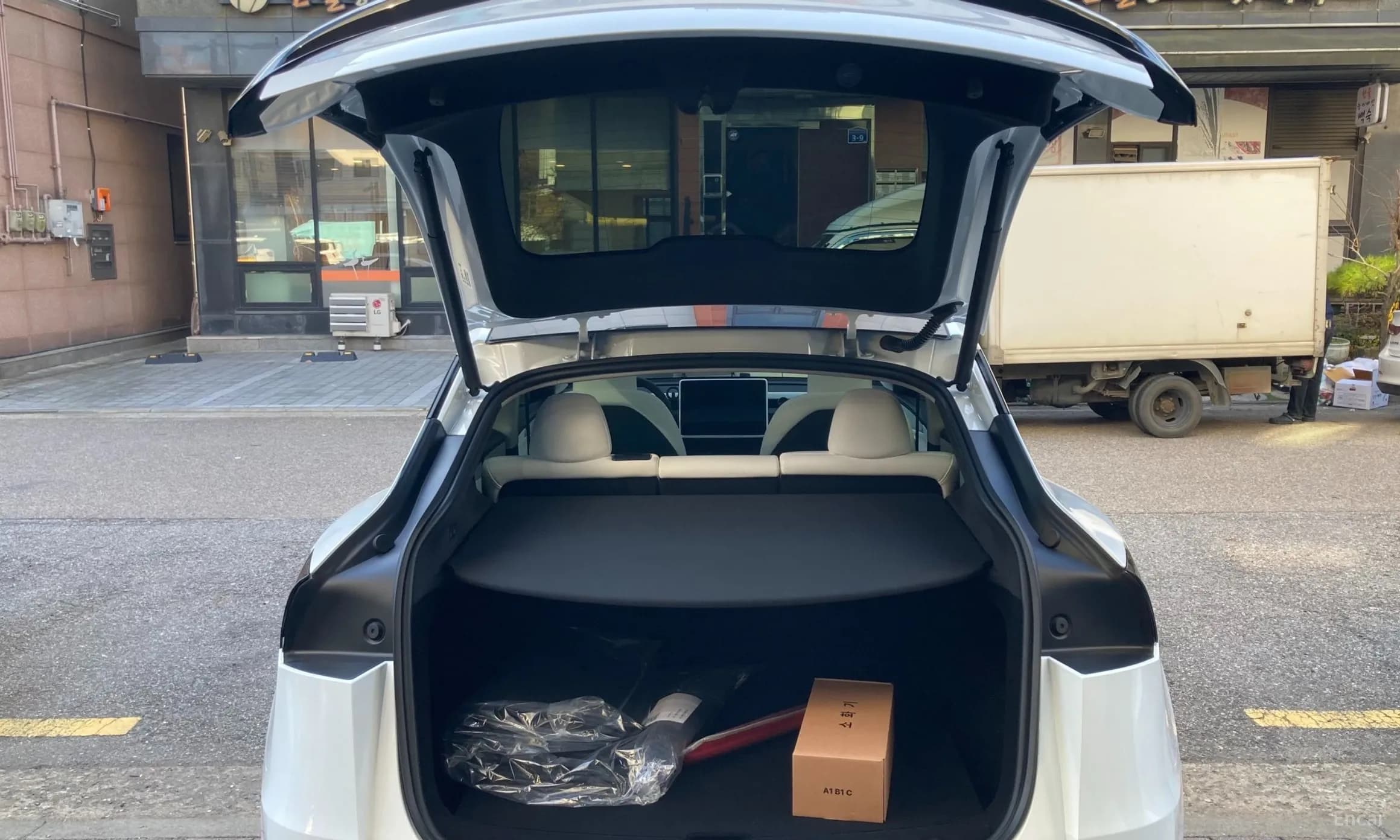 Model Y