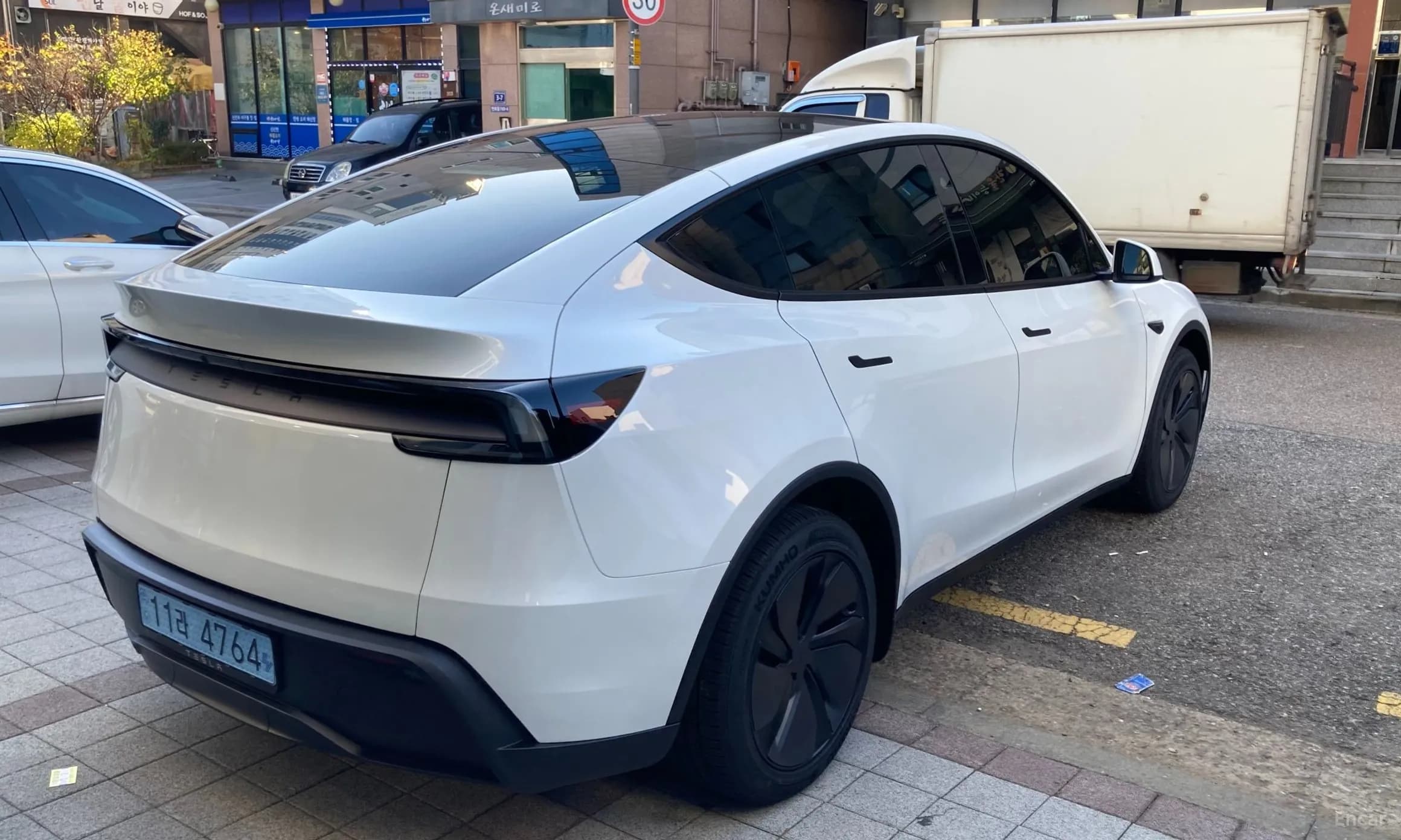 Model Y