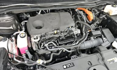 Siena 4th generation