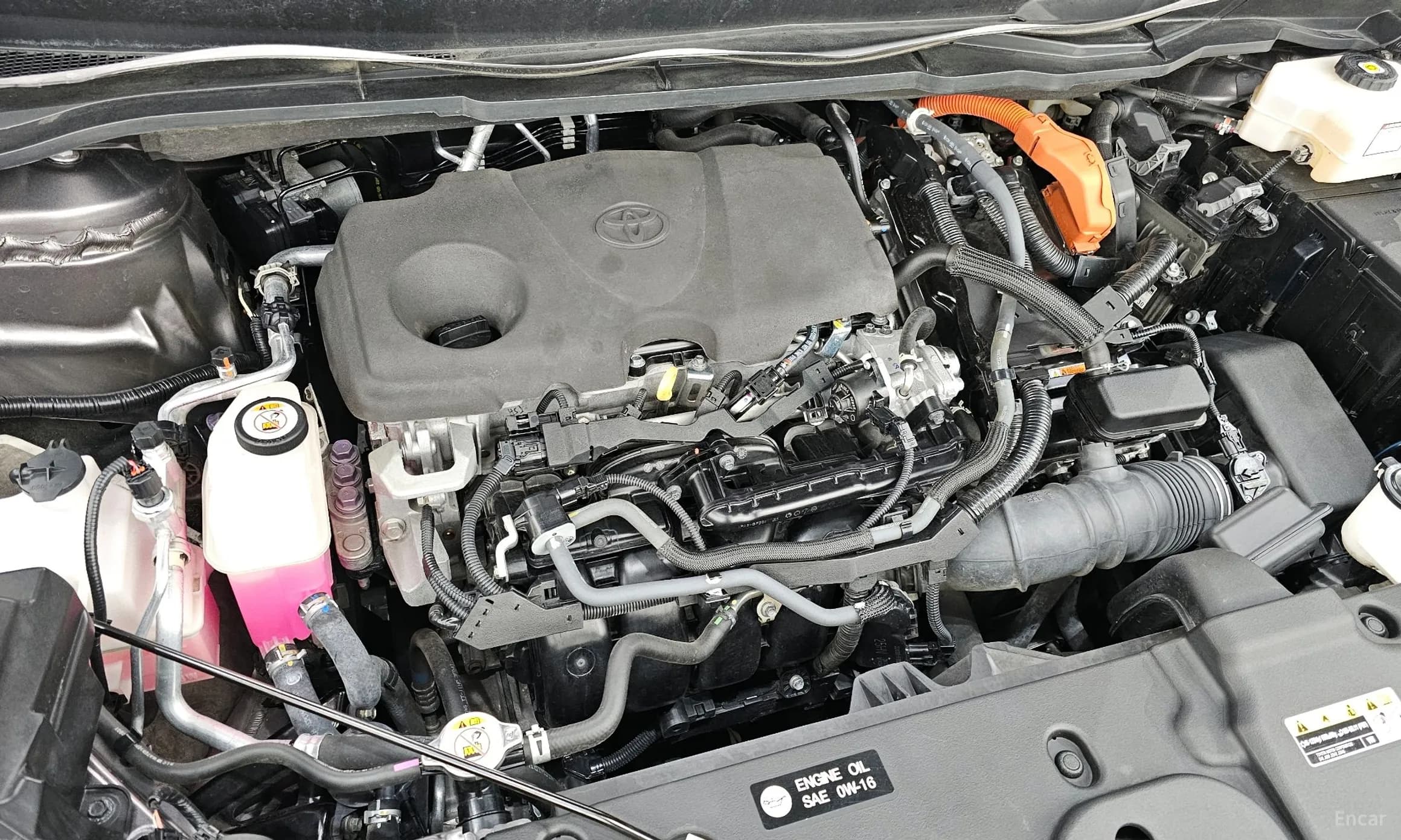 Siena 4th generation