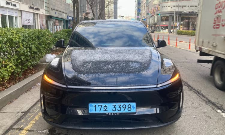 Model Y