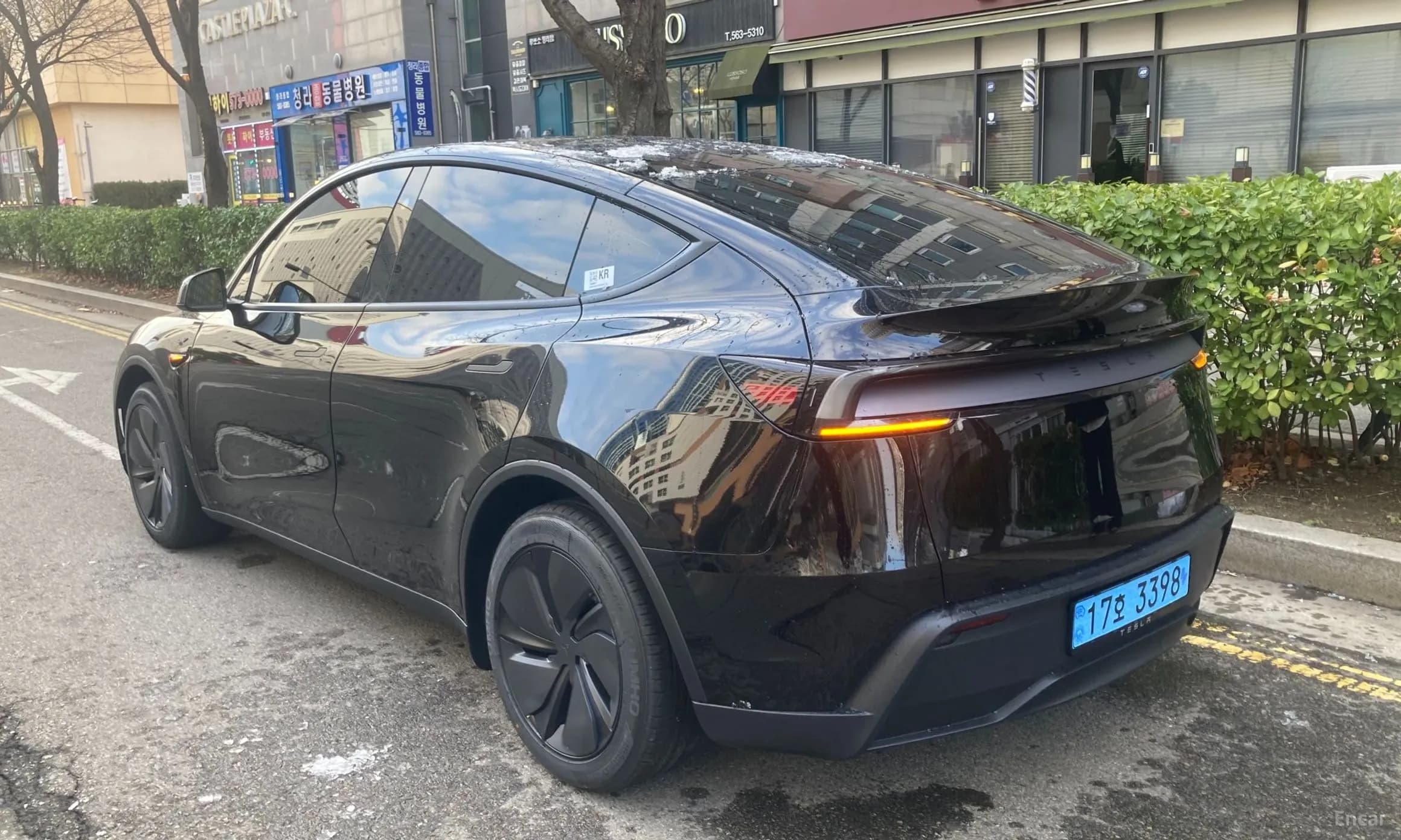 Model Y