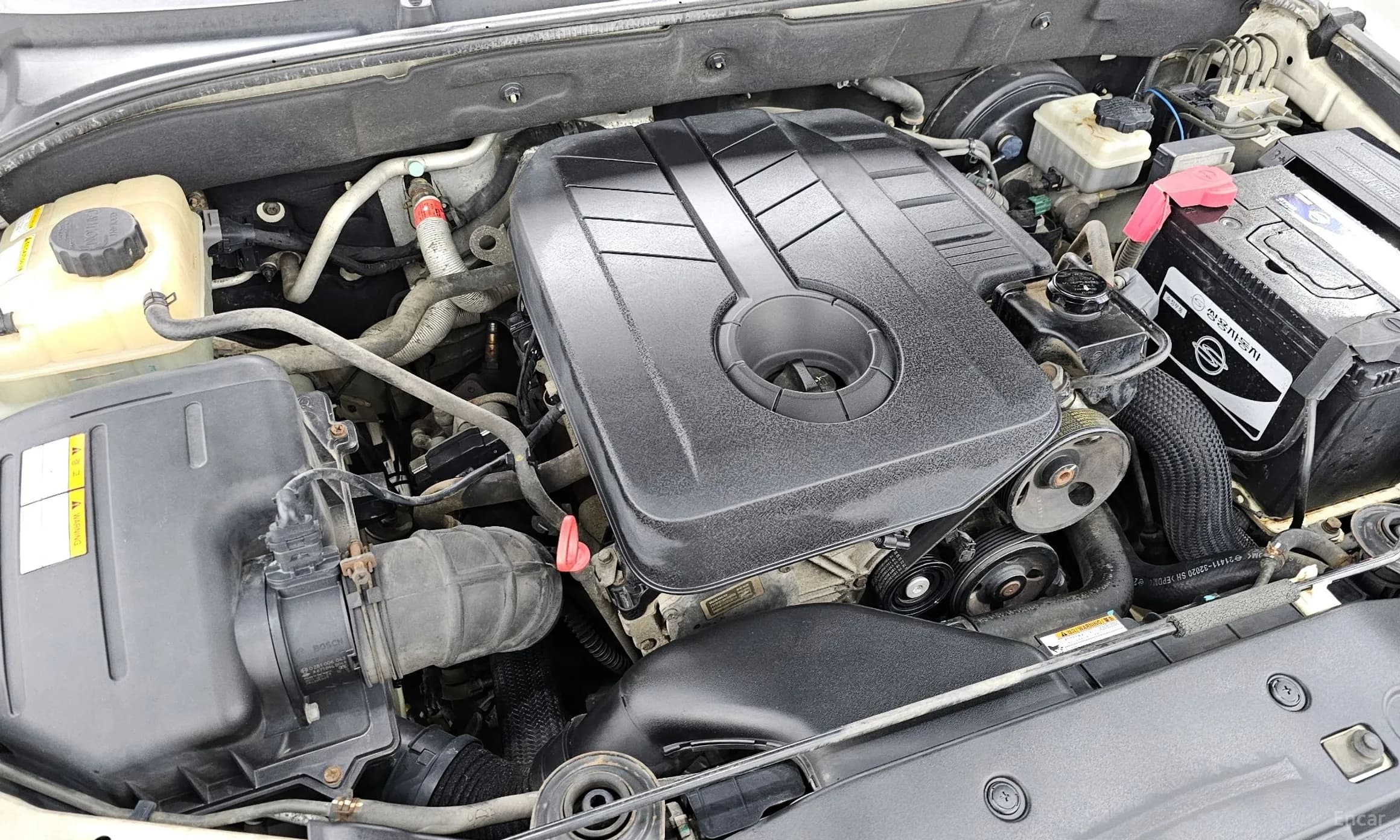 Korando Sports