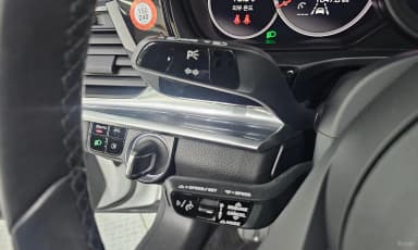 Panamera (971)