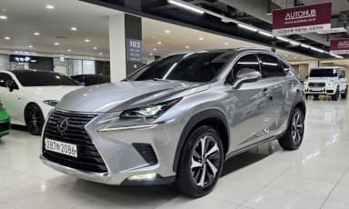 NX300h