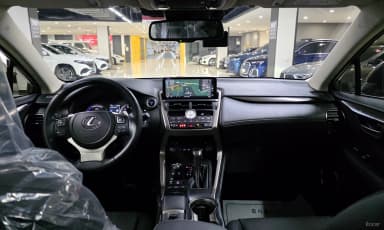 NX300h