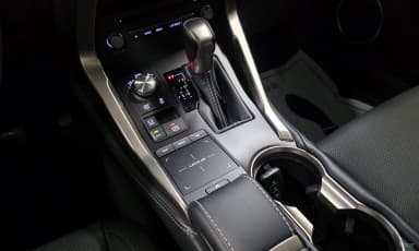NX300h