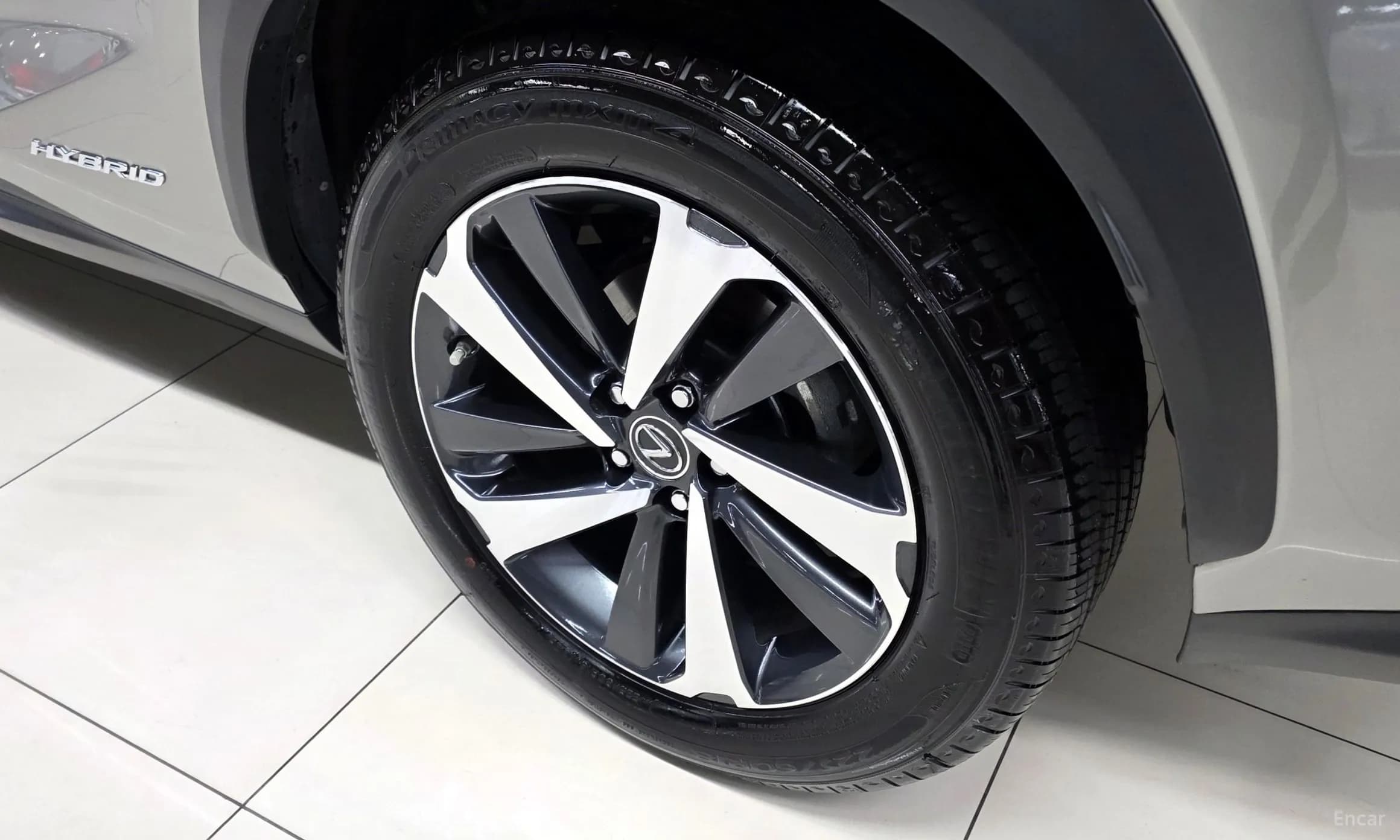 NX300h