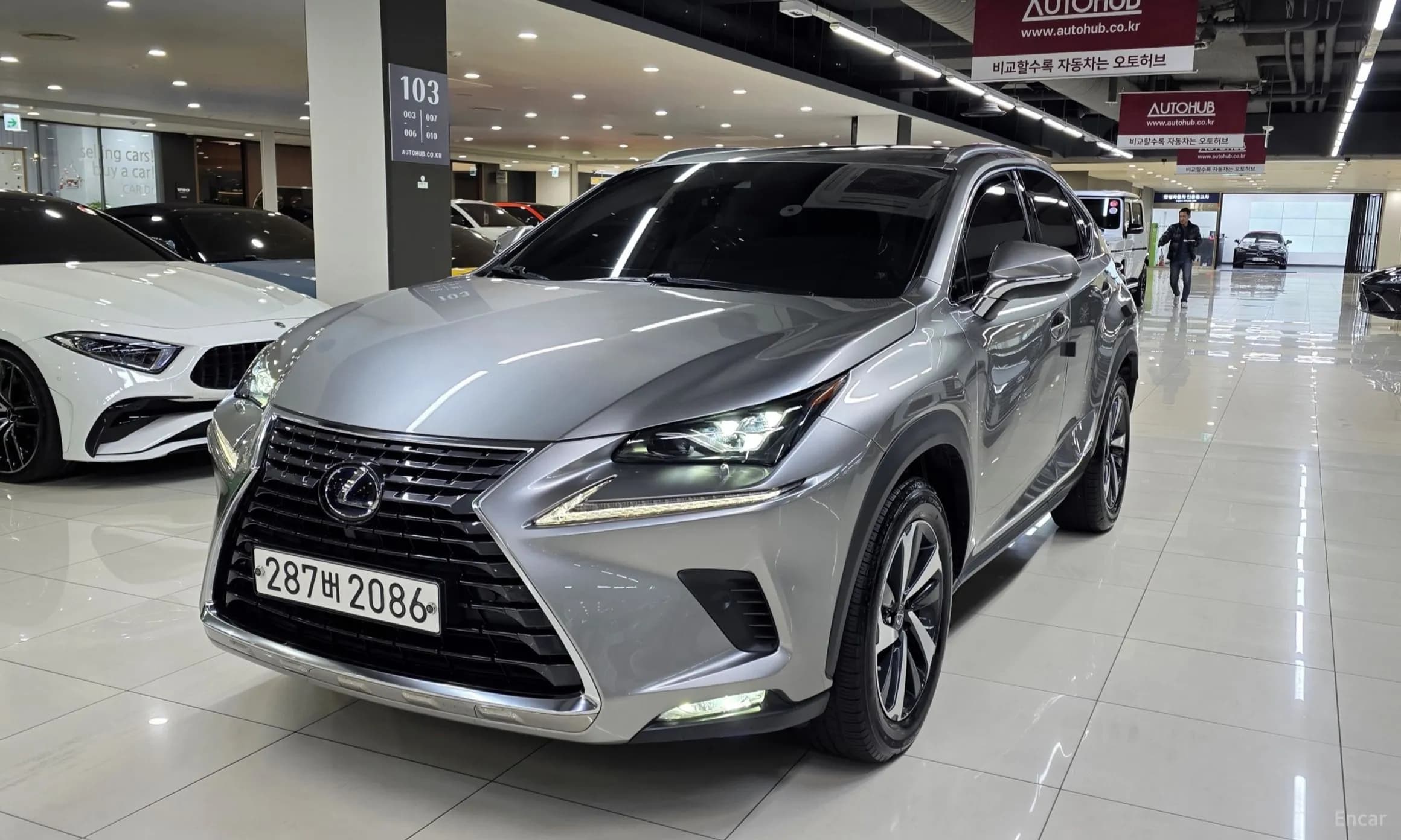 NX300h