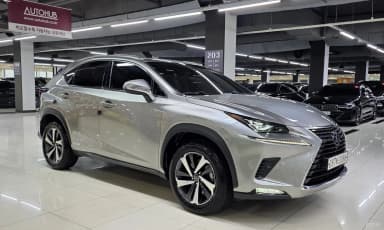NX300h