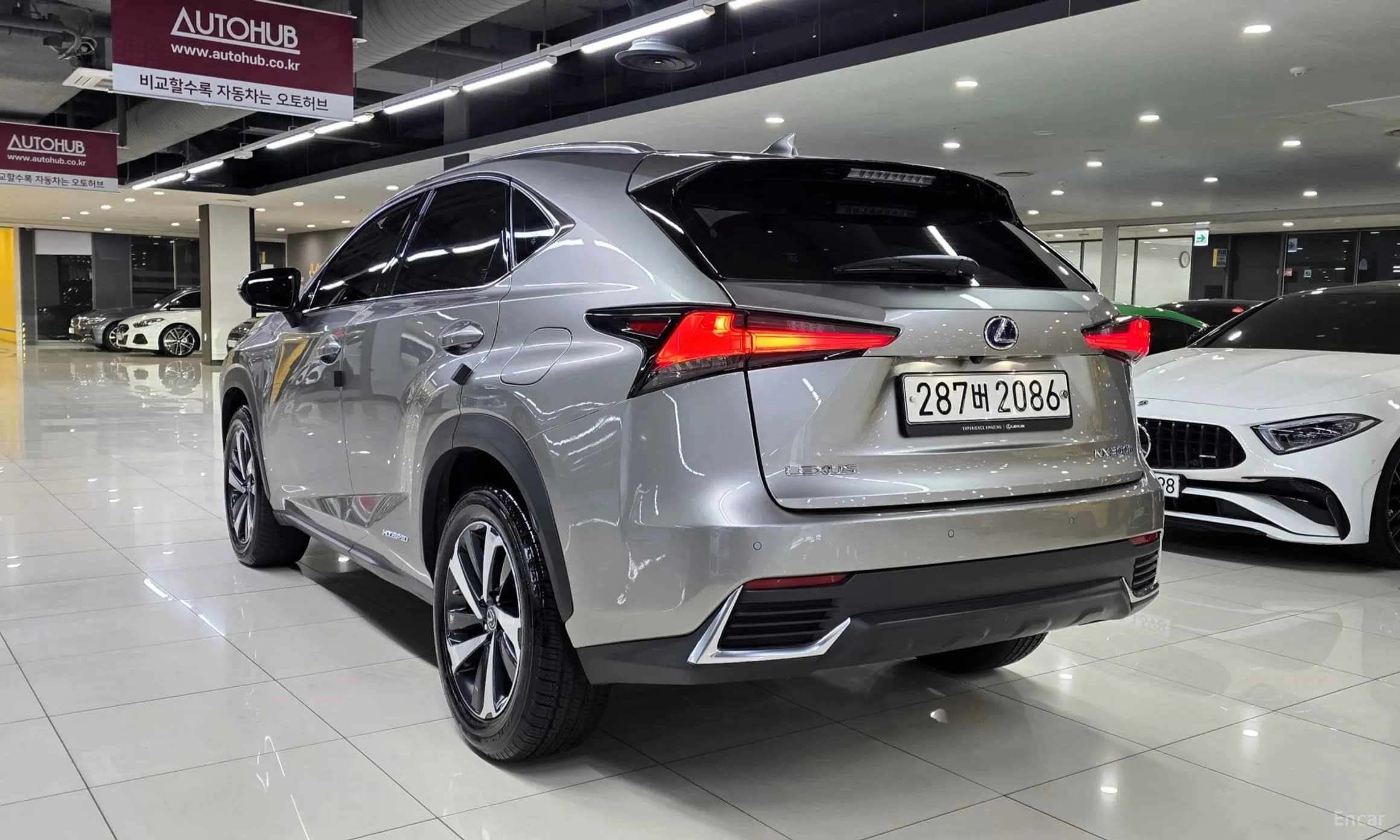 NX300h