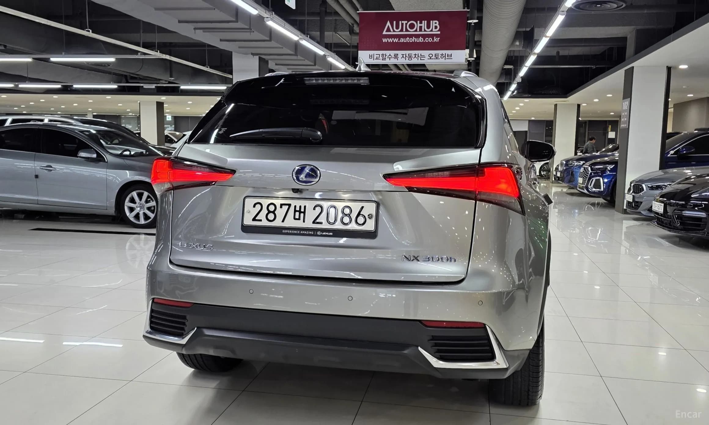 NX300h
