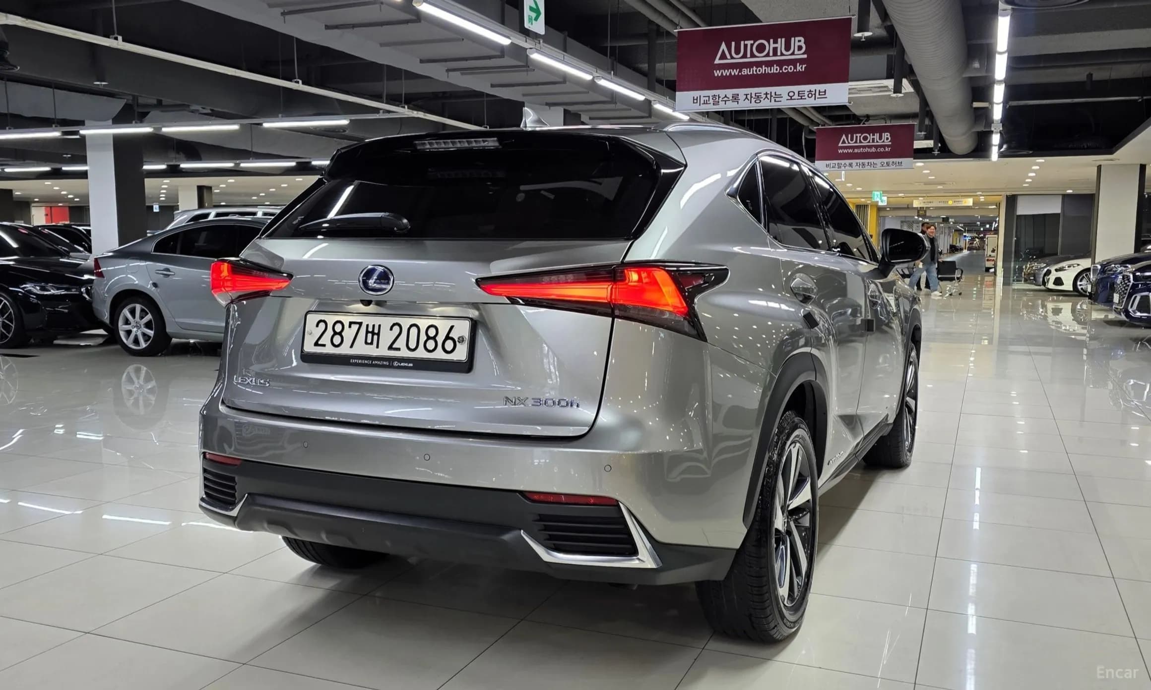 NX300h