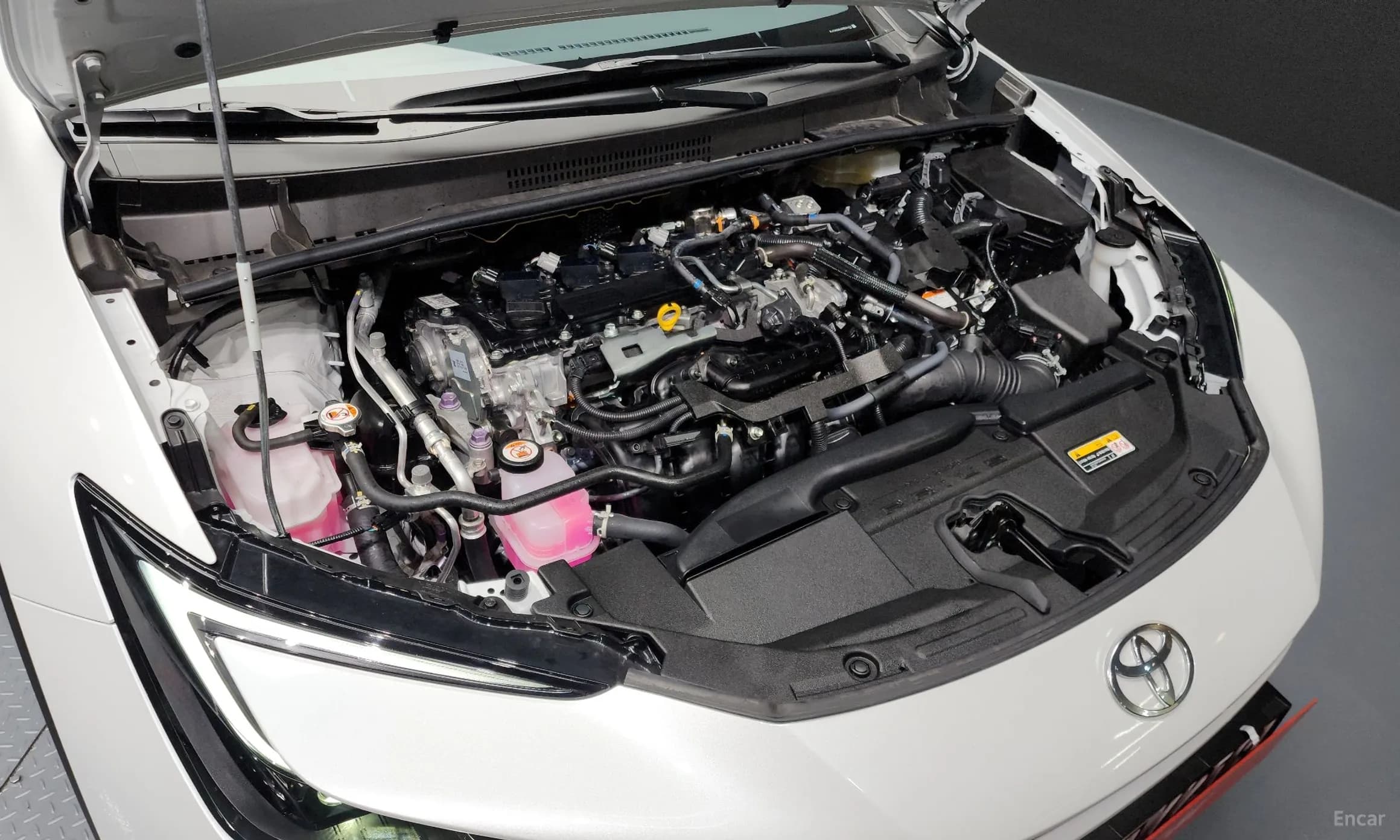 Prius 5th Generation